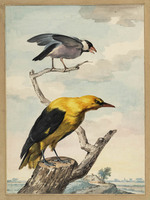 U 040
<br/>
Landschap met een rijstvogel en een wielewaal op een boomstronk
<br/>
<em>Schouman, Aert (1710-1792)</em>